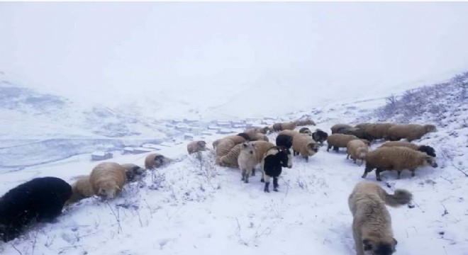  Bayburt’un yüksek kesimleri beyaza büründü